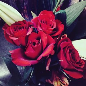 Meet your Posher, Mayra